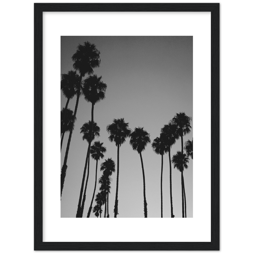 LARGE PALM