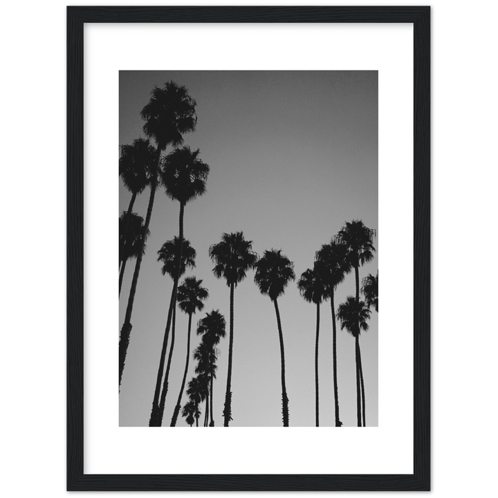 LARGE PALM