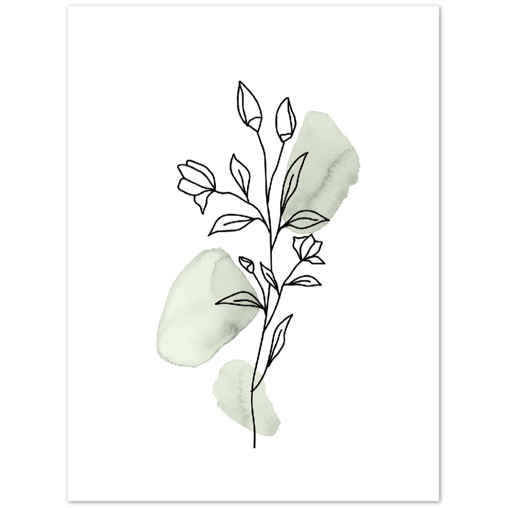BOTANICA VERDE VI