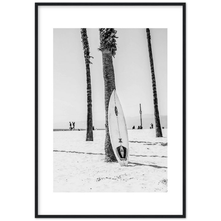PALM SURF