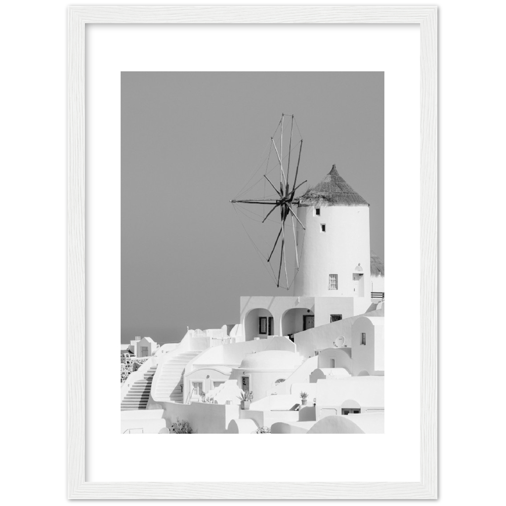 MOLINO BLANCO