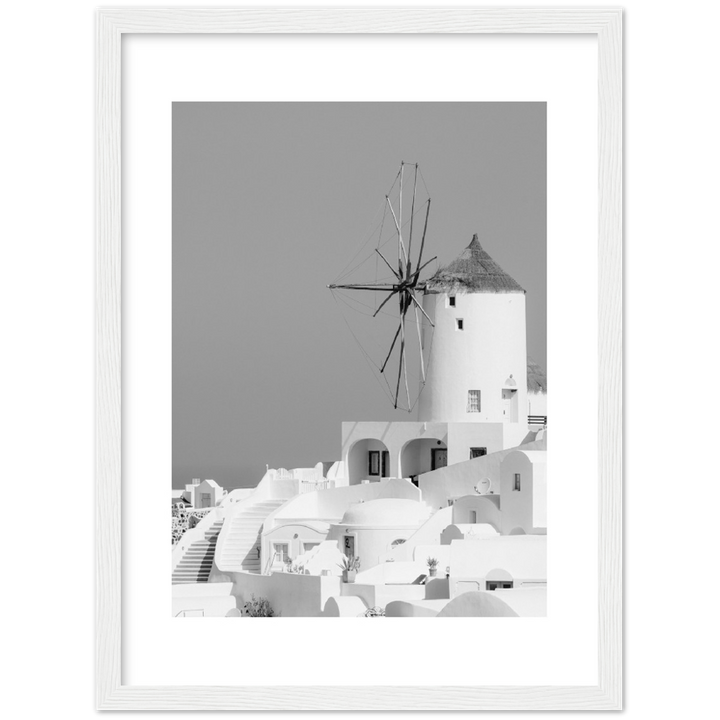MOLINO BLANCO