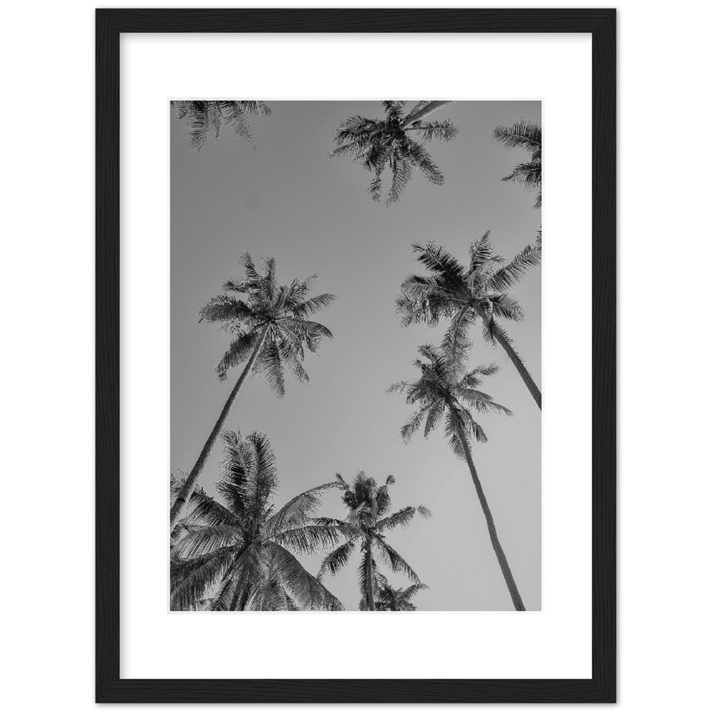 PALMAS GREY I