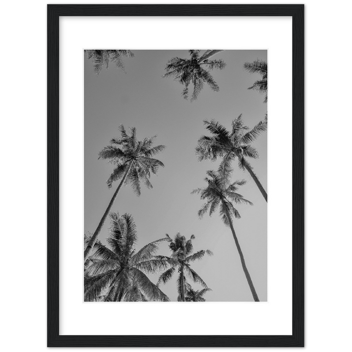 PALMAS GREY I