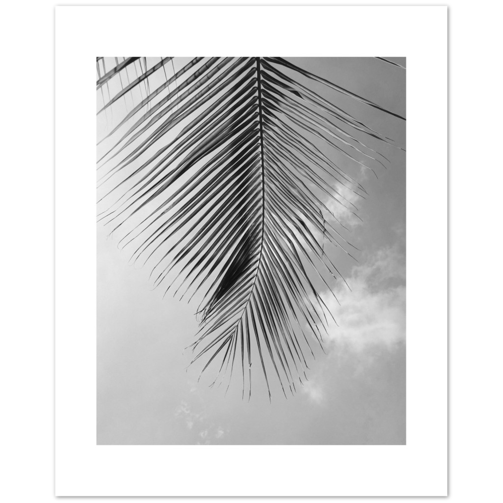 PALM CLOUD
