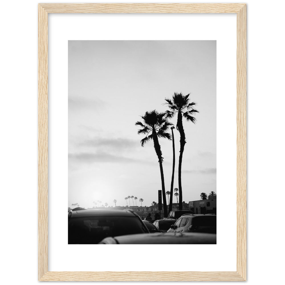 PALM STREET