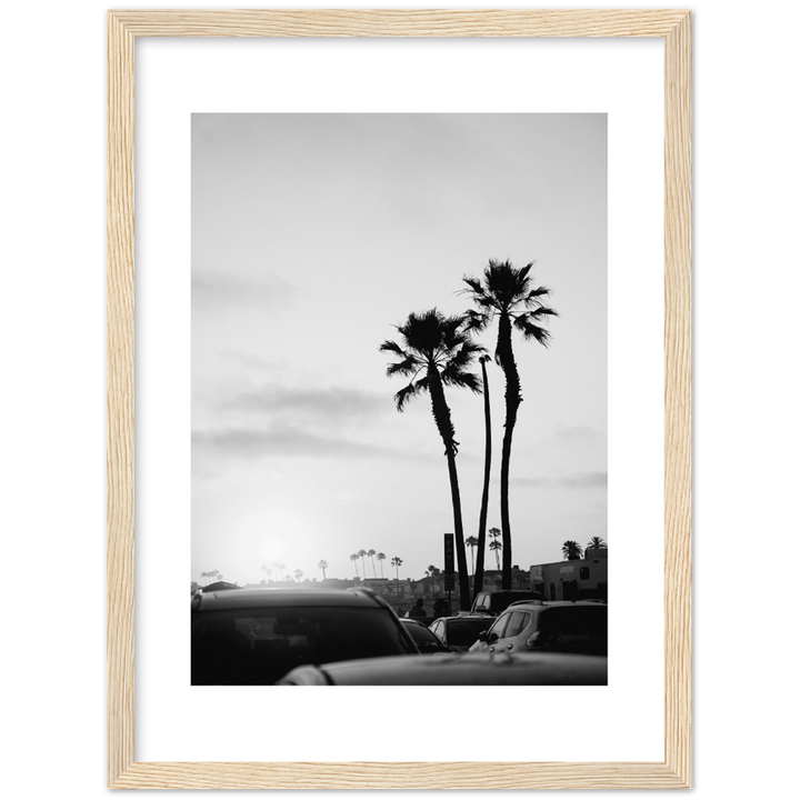 PALM STREET
