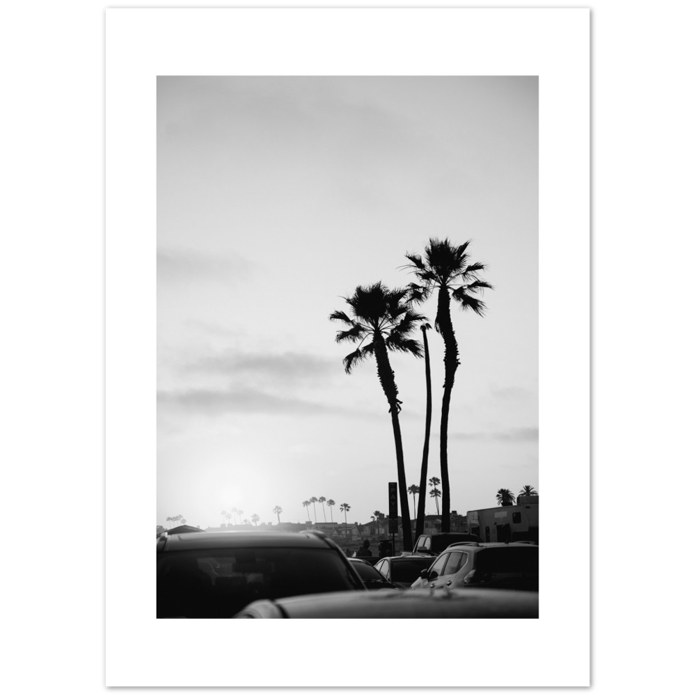 PALM STREET