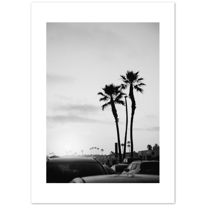 PALM STREET