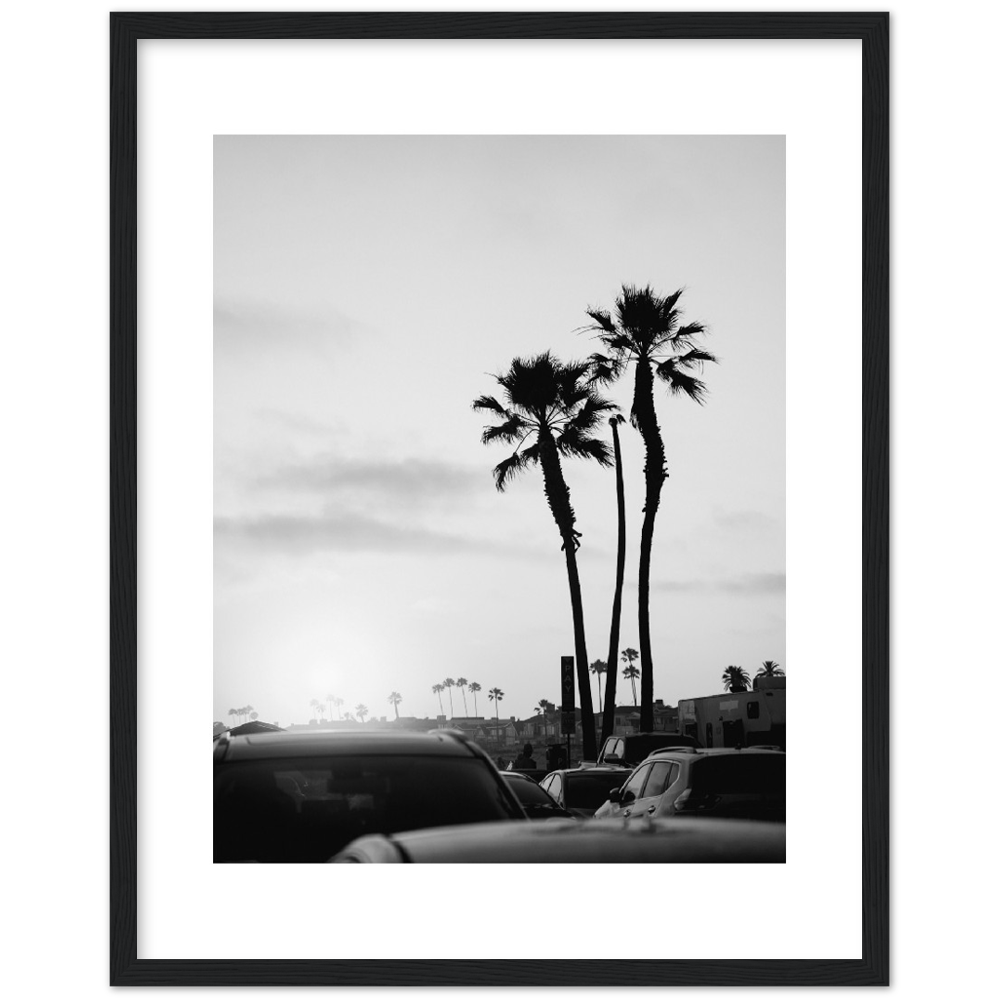 PALM STREET