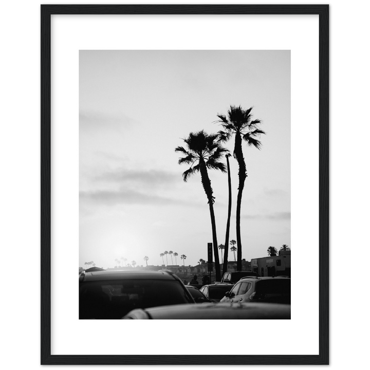 PALM STREET
