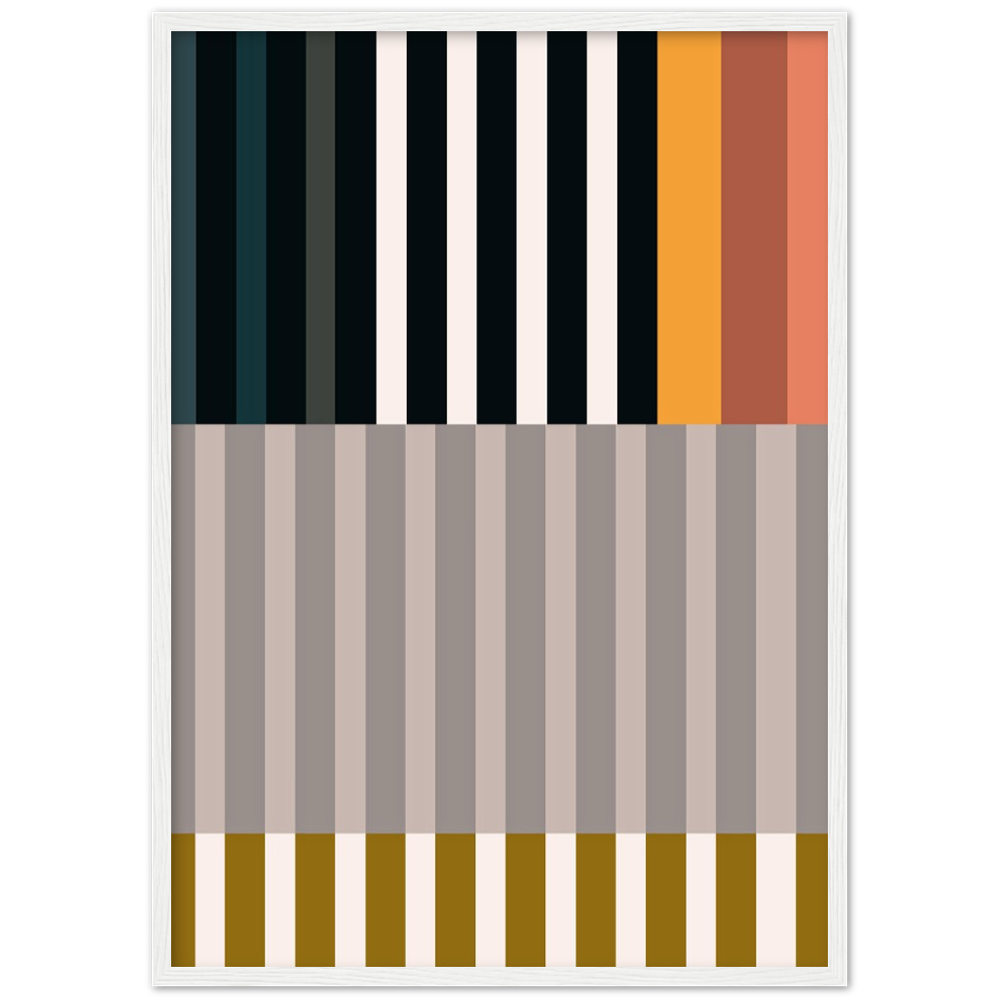 RAYVISION II