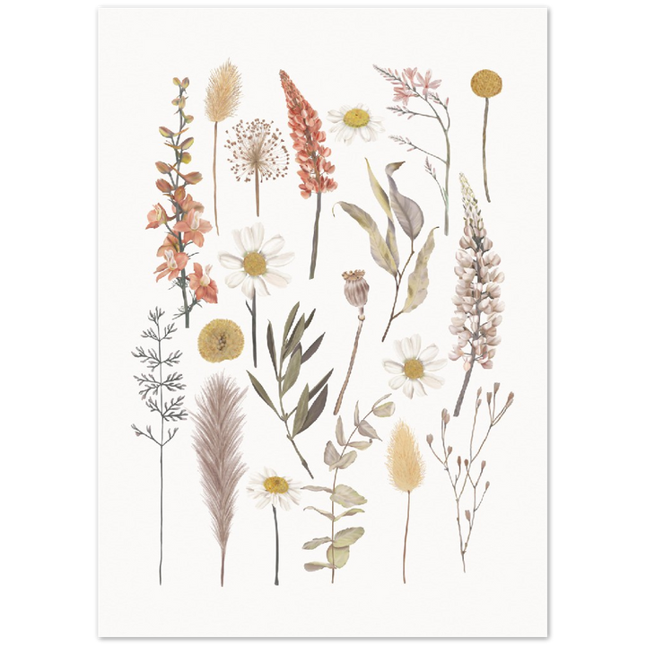 BOTANIC COMPO