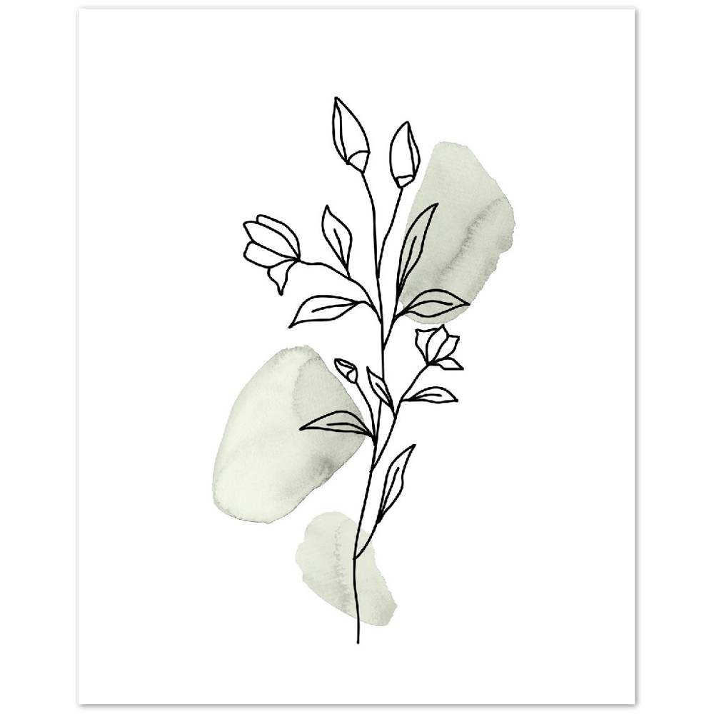 BOTANICA VERDE VI