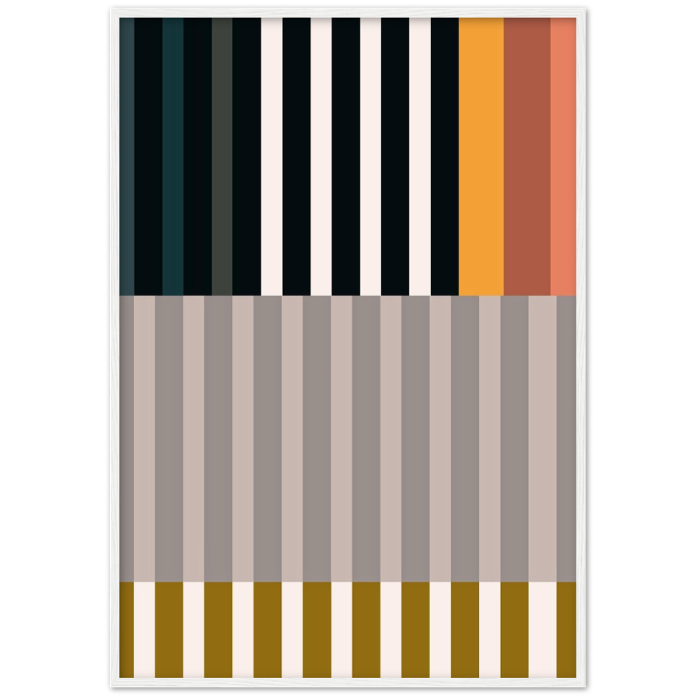 RAYVISION II