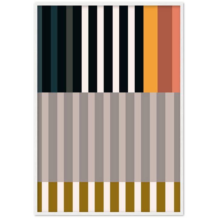 RAYVISION II