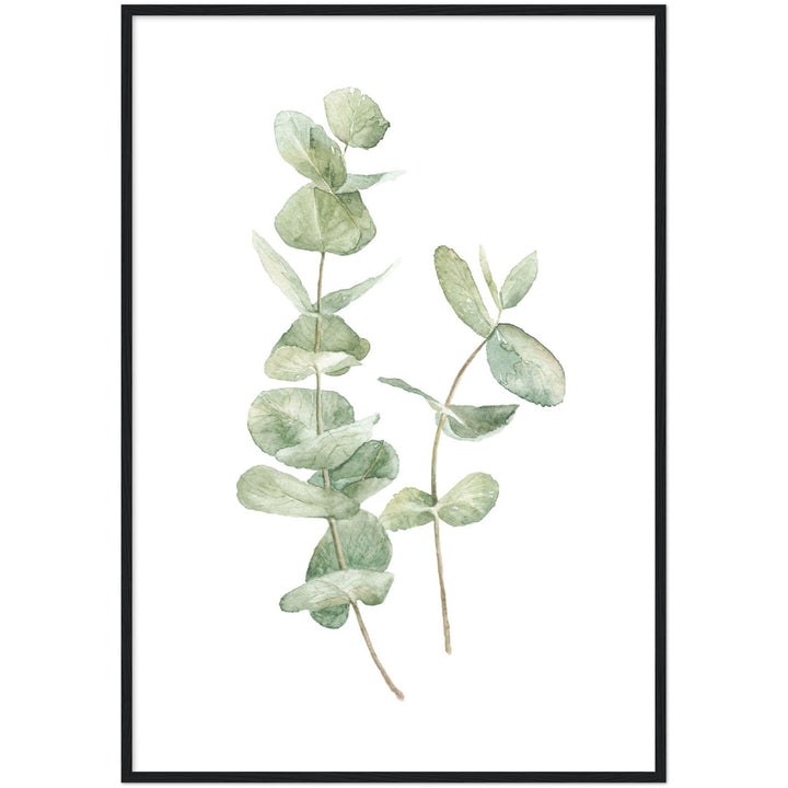 EUCALIPTUS I