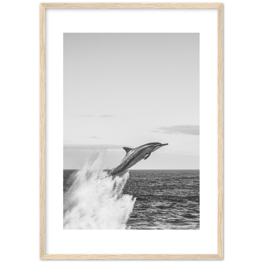 DELFIN
