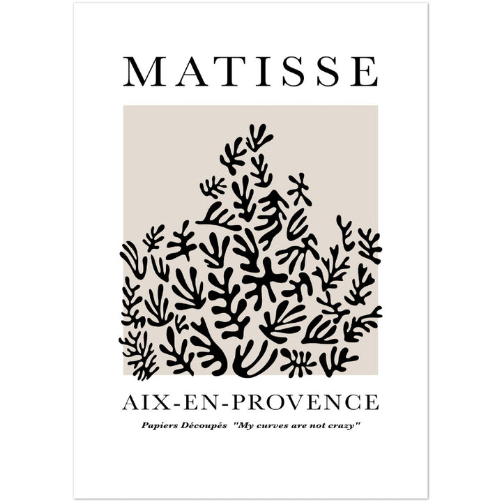 MATISSE PLANT