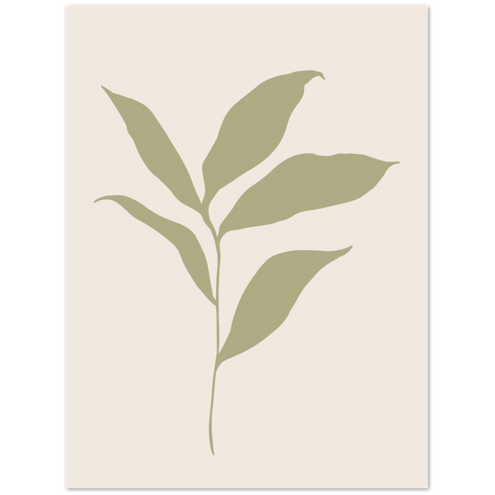 FLOR MUSA IV