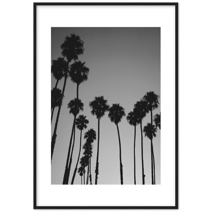 LARGE PALM