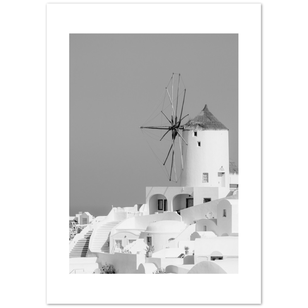 MOLINO BLANCO