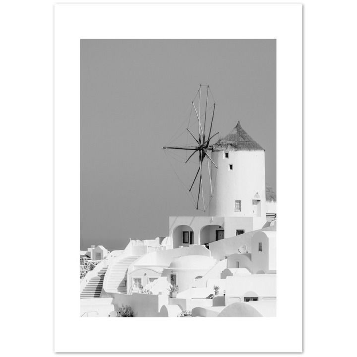 MOLINO BLANCO