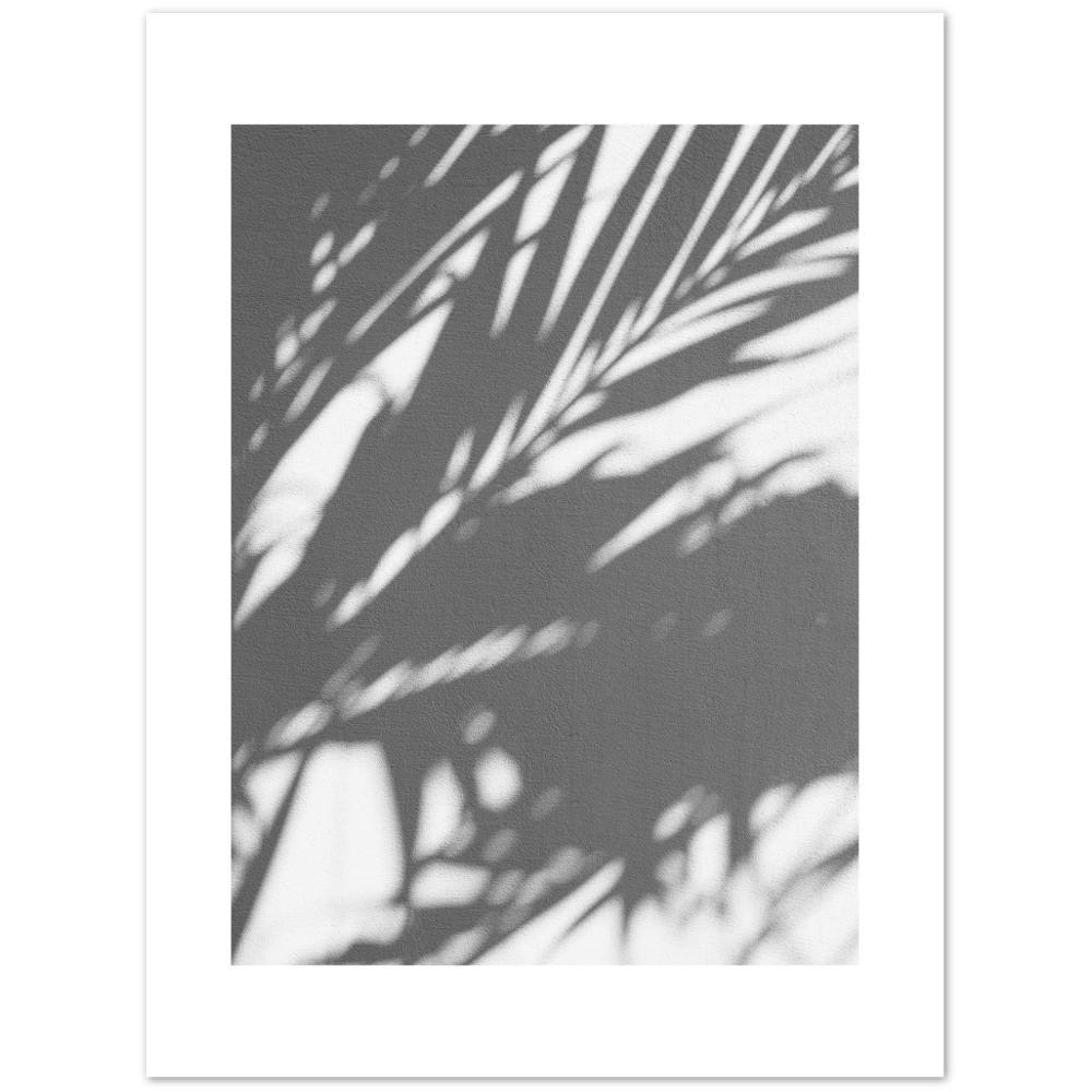 PALM SHADOW
