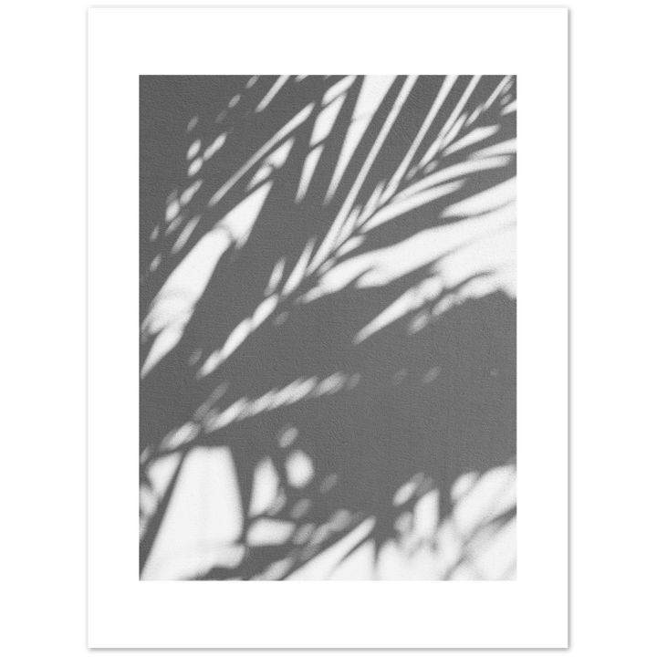 PALM SHADOW