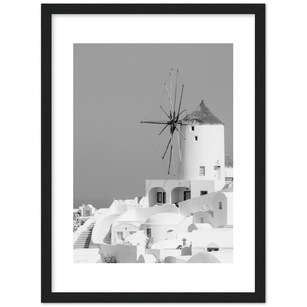 MOLINO BLANCO