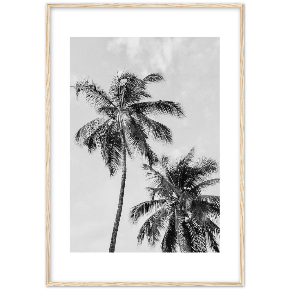 PALMERAS I