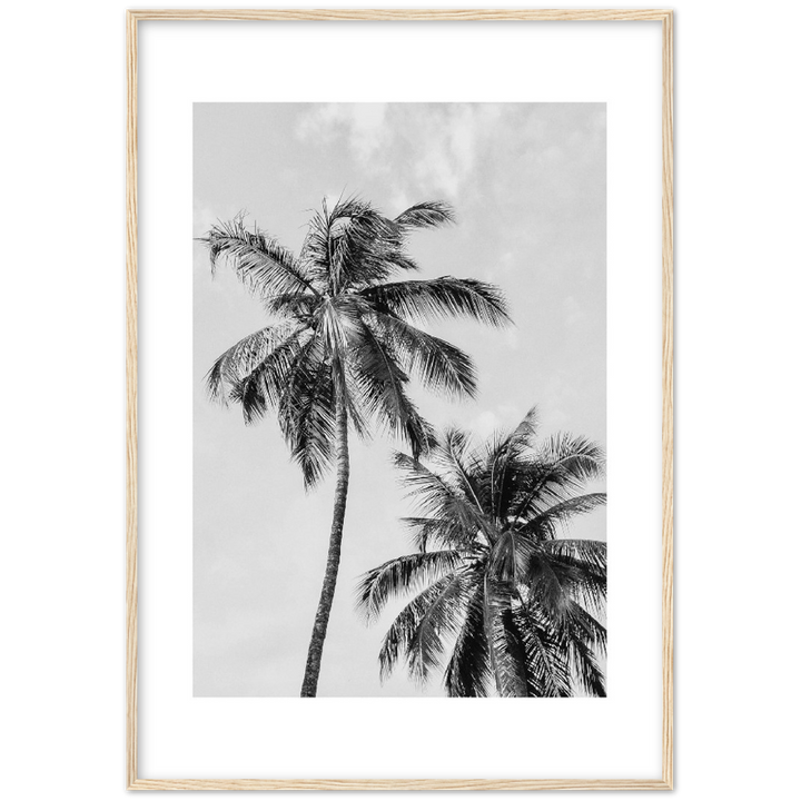 PALMERAS I