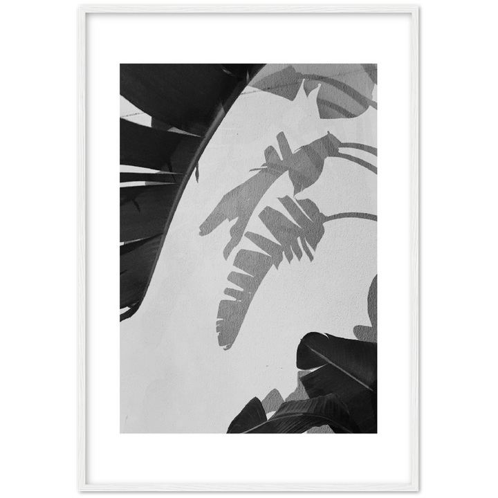 PALM SOMBRA