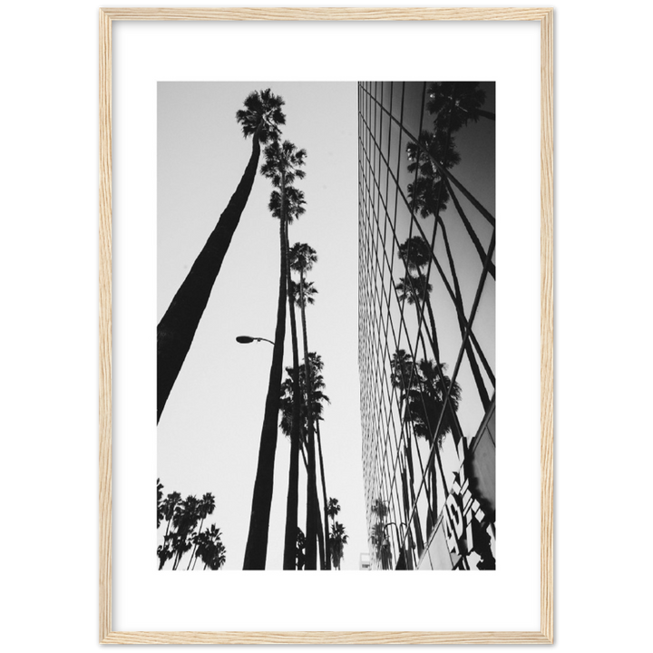 PALM TOWER