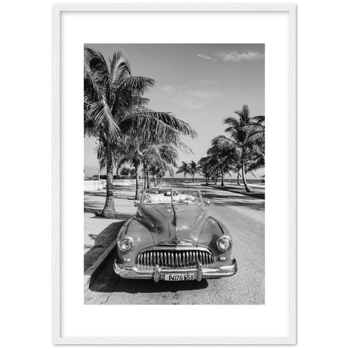 CARRO PALM