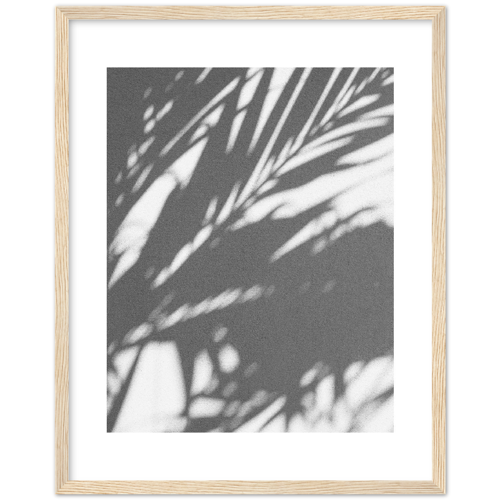 PALM SHADOW