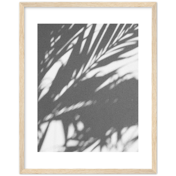 PALM SHADOW