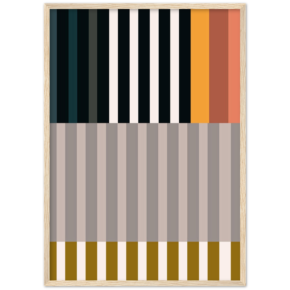 RAYVISION II