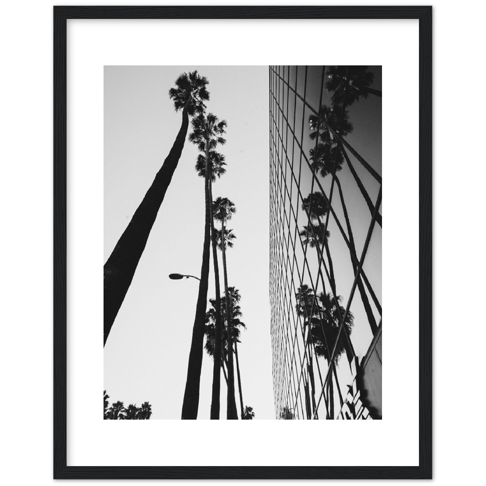 PALM TOWER