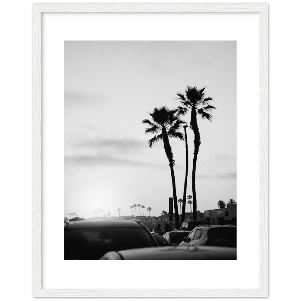 PALM STREET